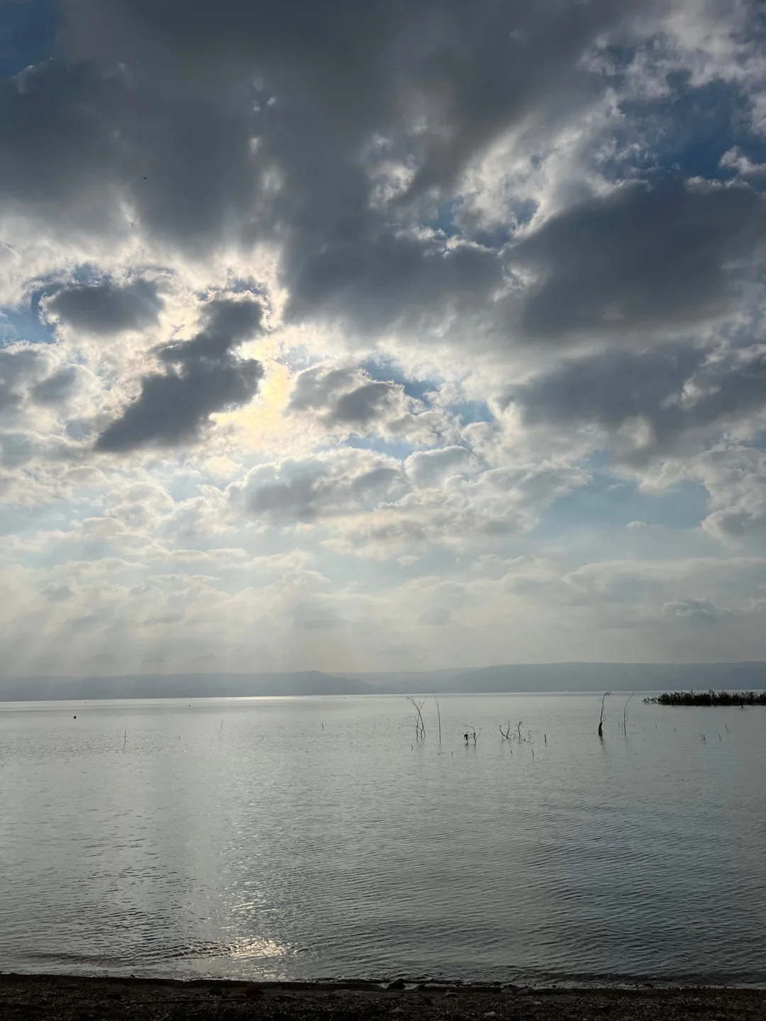 A quiet moment beside the Sea of Galilee